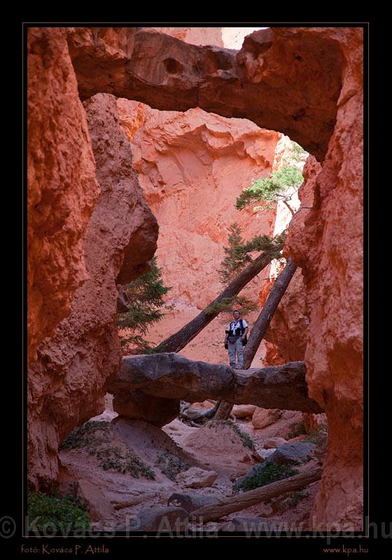 Bryce Canyon 47.jpg